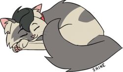  :3 aliasing alpha_channel ambiguous_gender character_name closed_eyes curled_up digital_media_(artwork) domestic_cat english_text eyelashes feet felid feline felis female_(lore) feral fluffy fur grey_body grey_fur grey_hair hair inner_ear_fluff mammal markings nifty-senpai pawpads paws quadruped shine_(warriors) simple_background sleeping smile solo spots spotted_body spotted_fur tail text transparent_background tuft warriors_(book_series) whiskers white_body white_fur 