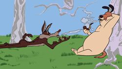  16:9 3_toes 4_fingers 4k abstract_background absurd_res against_natural_surface against_surface against_tree alternate_version_at_source anthro arm_tuft ass athletic back_muscles bangs belly big_belly biped black_ears black_eyes black_nose blowing_smoke blue_sky bored branch brown_body brown_fur bubble_butt calf_tuft canid canine canis chest_tuft chin_tuft cigarette colored dated digital_drawing_(artwork) digital_media_(artwork) domestic_dog duo elbow_tuft eyebrows facial_tuft feet fingers fingers_on_arm flat_colors forest fur grass hair hair_over_eyes half-closed_eyes hand_behind_head hand_on_arm head_on_hand herding_dog hi_res holding_cigarette holding_object holding_pipe huge_belly leg_tuft looney_tunes lying lying_on_grass lying_on_ground male mammal narrowed_eyes nude on_front on_ground open_mouth orange_body orange_fur orange_hair orange_tail overweight overweight_anthro overweight_male pastoral_dog paws pecs pinup pipe plant pose raised_finger raised_tail ralph_e._wolf rear_view reclining red_nose redraw sam_sheepdog sheepdog shoulder_tuft side_view signature skinny sky smoke smoking smoking_cigarette smoking_pipe spine stevethedragon tail tan_belly tan_body tan_eyebrows tan_fur toes tree tuft warner_brothers widescreen wolf yellow_sclera 