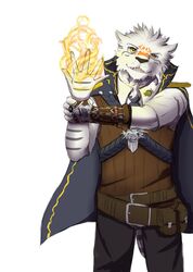  anthro canid canine clothed clothing dingding_(artist) fire fur looking_at_viewer male mammal open_mouth smile solo standing 