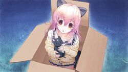  animal brown_eyes catgirl feline game_cg kimi_to_kanojo_to_kanojo_no_koi. long_hair mukou_aoi pink_hair seifuku tsuji_santa 