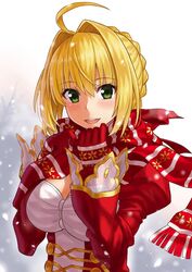  ahoge blonde_hair breasts commentary_request dress fate/extra fate_(series) female gloves green_eyes hair_bun hair_intakes hair_ribbon large_breasts long_sleeves nero_claudius_(fate) nero_claudius_(fate/extra) npcpepper photoshop_(medium) red_dress red_ribbon ribbon scarf single_hair_bun snowing solo 