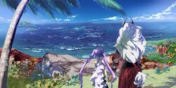  1boy asterios_(fate/grand_order) bare_shoulders butterfly choker dark_skin dress euryale fate/grand_order fate/hollow_ataraxia fate_(series) female flower grey_hair height_difference horns long_hair purple_hair sea twintails water 