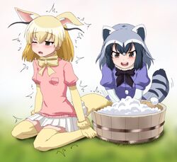  2girls animal_ears black_hair blonde_hair blush bow bowtie brown_eyes commentary_request common_raccoon_(kemono_friends) drooling fennec_(kemono_friends) fox_ears hayashiya_zankurou kemono_friends multicolored_hair multiple_girls open_mouth raccoon_ears raccoon_tail short_hair short_sleeves tail thighhighs uncommon_stimulation washing washtub 