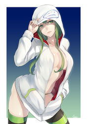  breasts cleavage commentary_request contrapposto cowboy_shot female green_eyes green_hair hair_over_breasts hand_in_pocket highres hood hoodie jacket jikeshi large_breasts long_hair looking_away open_clothes open_jacket original panties sidelocks solo standing striped_clothes striped_panties striped_thighhighs thighhighs underwear unzipped 