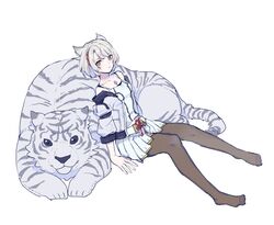  animal animal_ears blue_eyes breasts cat_ears chest_jewel dromarch_(xenoblade) female highres jacket lobsterbaby99 looking_at_viewer mio_(xenoblade) pantyhose pleated_skirt short_hair simple_background skirt solo tiger white_hair white_skirt xenoblade_chronicles_(series) xenoblade_chronicles_2 xenoblade_chronicles_3 yellow_eyes 