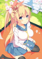  black_thighhighs blonde_hair blue_eyes blue_skirt blurry blush bonyari_high_school_uniform breasts cherry_blossoms commentary_request depth_of_field female from_above grass hair_ribbon hatsu_(first_snow) kirisaki_chitoge large_breasts long_hair nisekoi petals pleated_skirt ponytail ribbon school_uniform serafuku sitting skirt skirt_basket smile solo thighhighs wariza 