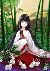  alternate_costume animal bamboo bamboo_forest black_hair brown_eyes chromatic_aberration commentary_request female forest full_moon houraisan_kaguya japanese_clothes leaf long_hair long_sleeves looking_at_viewer moon nature rabbit shirt sitting skirt smile solo sw_(2311550438) too_many too_many_rabbits touhou very_long_hair wide_sleeves 