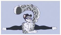  anthro border felid femboy flexible fluffy fluffy_tail grey_background looking_at_viewer lying male mammal mattie_(disambiguation) on_front pantherine simple_background snow_leopard solo splits spread_legs spreading tail wasabitea white_border 