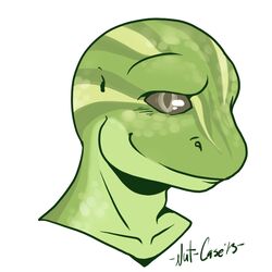  1:1 2013 anthro black_eyes gecko green_body green_skin green_stripes grey_sclera headshot_portrait icon lizard male nut-case portrait reptile rivia_green scalie simple_background smile solo stripes white_background 