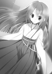  androgynous kazehaya_kamito monochrome ren_ashbell seirei_tsukai_no_blade_dance trap 