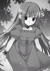  expressionless female monochrome restia_ashdoll seirei_tsukai_no_blade_dance 