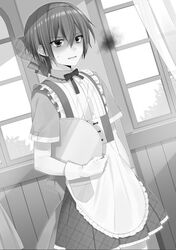  1boy androgynous kazehaya_kamito monochrome seirei_tsukai_no_blade_dance trap 