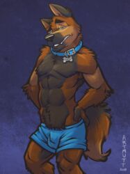  2018 abs anthro biped black_nose blue_background blue_bottomwear blue_clothing blue_eyes blue_underwear bottomwear boxers_(clothing) brown_body brown_fur brown_tail canid canine canis clothed clothing collar digital_media_(artwork) domestic_dog duncan_(k-9) front_view fur half-closed_eyes hands_on_hips hi_res k-9 looking_at_viewer male mammal muscular muscular_anthro muscular_male narrowed_eyes pecs portrait signature simple_background smile smirk snout solo standing tail teeth three-quarter_portrait topless underwear 