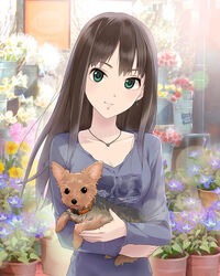  artist_request black_hair canine earrings female flower_shop green_eyes hanako_(idolmaster) idolmaster idolmaster_cinderella_girls jewelry long_hair necklace official_art shibuya_rin shirt shop smile solo star_(symbol) yorkshire_terrier 