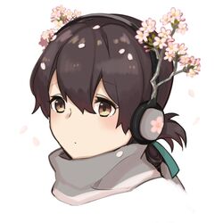  blue_ribbon brown_eyes brown_hair cherry_blossoms close-up commentary female folded_ponytail hair_between_eyes hair_ribbon headphones kantai_collection kasuga_maru_(kancolle) long_hair petals ribbon scarf simple_background solo taiyou_(kancolle) taiyou_kai_ni_(kancolle) tareme white_background yamashichi_(mtseven) 