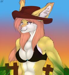  anthro aurelia breasts canid canine clothing digital_media_(artwork) female half-length_portrait hat headgear headwear hi_res looking_at_viewer mammal manika_nika outside portrait shaded smile solo 