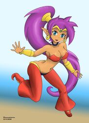  absurd_res blue_eyes breasts clothing dark_body dark_skin diamondstorm ear_piercing female genie hair hi_res humanoid humanoid_pointy_ears long_hair not_furry piercing ponytail purple_hair shantae shantae_(series) solo wayforward 