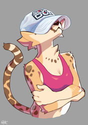  4_fingers absurd_res akino_(el-k) anthro arm_tuft black_nose bra breasts cheek_tuft cheetah chest_tuft claws cleavage clothed clothing crossed_arms digital_media_(artwork) el-k elbow_tuft english_text facial_tuft felid feline female fingers frown fur hat hat_over_eyes headgear headwear hi_res mammal midriff navel obscured_eyes oversized_cheetah_hat pink_bra pink_clothing pink_sports_bra pink_underwear simple_background solo sports_bra spots tail text text_on_clothing text_on_hat text_on_headwear topwear tuft underwear 