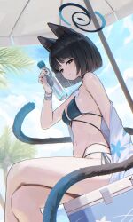  animal_ears bikini black_eyes black_hair blue_archive blue_bikini blue_sky bottle breasts cat_ears cat_girl cat_tail closed_mouth cloud commentary_request day female highres holding holding_bottle kikyou_(blue_archive) kikyou_(swimsuit)_(blue_archive) looking_at_viewer medium_breasts multiple_tails navel official_alternate_costume outdoors palm_tree parasol short_hair sitting sky smile solo swimsuit tail tem_(tempainting1) tree umbrella 