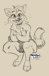  absurd_res anthro baphypaws canid canine canis crossed_arms fluffy hi_res looking_at_viewer male mammal sabbyth scruffy sitting solo whiskers wolf 