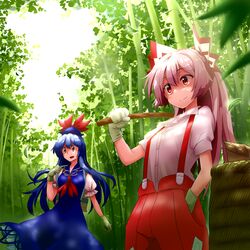  2girls backpack bag bamboo bamboo_forest blue_dress blue_hair commentary_request dress forest fujiwara_no_mokou gloves green_gloves hair_ribbon hand_in_pocket hat highres kamishirasawa_keine long_hair looking_away multiple_girls nature noel_(noel-gunso) open_mouth pants puffy_sleeves red_eyes ribbon shade shirt short_sleeves smile touhou white_hair 