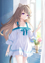  animal_ears arm_at_side bare_shoulders bra brown_hair cat_ears cat_girl cat_tail collarbone cowboy_shot curtains day dress facial_mark female flower genshin_impact hair_down hair_intakes hand_up highres indoors legs_together long_bangs long_hair long_sleeves looking_at_viewer lumidouce_bell_(genshin_impact) lynette_(genshin_impact) off-shoulder_dress off_shoulder open_window panties pink_flower pink_tulip purple_eyes rainbow_rose_(genshin_impact) see-through see-through_dress side-tie_panties sidelocks signature solo star_(symbol) star_facial_mark stomach straight_hair tail tulip tyenka7728 underwear vase very_long_hair white_bra white_dress white_panties window 