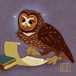  avian bird book brown_body brown_eyes brown_feathers claws feathers female feral guardians_of_ga&#039;hoole hi_res kabuki-aku otulissa owl solo spotted_owl strix_(genus) toe_claws true_owl writing_text 