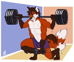  2_tails 4_arms 4_pecs 4_toes anthro artist_logo artist_name barbell blue_eyes bodily_fluids bottomwear brown_ears brown_hair canid canine chipfox clothing digitigrade dumbbell exercise feet fox hair logo looking_ahead lunge_pose male mammal mei5683 multi_arm multi_limb multi_pecs multi_tail multifur muscular muscular_male pecs purple_bottomwear purple_clothing purple_shorts red_fox short_hair shorts signature simple_background solo sweat sweatdrop tail toes true_fox weightlifting weights workout 