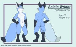  16:10 anthro blue_body blue_fur canid canine canine_ears digitigrade english_text fisk24 fox fox_tail fur hi_res male mammal model_sheet scipio_wright tail tail_tuft text tuft url widescreen 