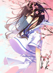  amahara_pekozaemon blue_neckwear blue_ribbon blue_sky blush branch brown_eyes brown_hair closed_mouth commentary day female flower hair_between_eyes long_hair looking_away multicolored_hair neck_ribbon original outdoors pink_flower pleated_skirt ribbon sailor_collar school_uniform serafuku shirt short_sleeves skirt sky solo two-tone_hair white_hair white_sailor_collar white_serafuku white_shirt white_skirt window 