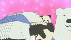  bear closed_eyes duo flower fur giant_panda heart_symbol kissing kumao male male/male mammal mohumohuotou okatana panda-kun pink_background plant polar_bear privateotou shirokuma shirokuma_cafe simple_background ursine white_body white_fur 