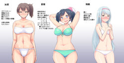  3girls ball beachball bifidus bikini black_hair blush breasts brown_eyes brown_hair commentary_request expressionless fundoshi grey_hair hairband japanese_clothes kaga_(kancolle) kantai_collection large_breasts long_hair midriff multiple_girls navel sarashi short_hair shoukaku_(kancolle) side_ponytail small_breasts souryuu_(kancolle) swimsuit translated twintails 