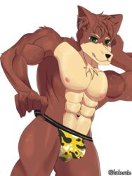  3:4 5_fingers anthro biped bulge canid canine chest_fur clothed clothing clothing_pull detailed_bulge fingers fur hi_res jockstrap jockstrap_only jockstrap_pull laterale looking_at_viewer male male_anthro mammal multicolored_body multicolored_fur partially_clothed solo topless underwear underwear_down underwear_only underwear_pull 