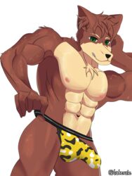  3:4 anthro biped bulge canid canine chest_fur clothed clothing clothing_pull detailed_bulge erection erection_under_clothing fur genital_outline hi_res jockstrap jockstrap_only jockstrap_pull laterale looking_at_viewer male male_anthro mammal multicolored_body multicolored_fur penis_outline solo topless underwear underwear_only underwear_pull 