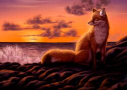  2019 amazing_background ambiguous_gender canid canine cloud detailed detailed_background detailed_fur feral fox fur inner_ear_fluff kippycube light lighting mammal orange_body orange_fur outside red_fox scenery scenic_view sea sky solo sun true_fox tuft water white_body white_fur 