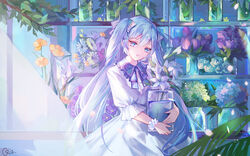  alternate_costume blue_eyes blue_hair bow bowtie commentary cowboy_shot curtains dress female flower flower_bracelet flower_request hair_ribbon hatsune_miku head_tilt holding holding_jar hydrangea indoors jar leaf lily_(flower) long_hair looking_at_viewer neck_ribbon orange_flower parted_lips petals plant puffy_short_sleeves puffy_sleeves purple_bow purple_bowtie purple_flower purple_ribbon purple_rose qie ribbon rose shelf short_sleeves smile solo tulip twintails very_long_hair vocaloid water white_dress white_flower white_rose 