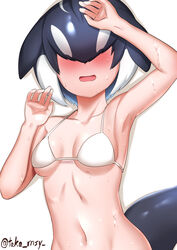  arm_up armpits bikini black_hair blue_hair blush breasts cetacean_tail collarbone covered_eyes dolphin_girl dorsal_fin facing_viewer female fins fish_tail hair_over_eyes hand_up head_fins highres kashisu_mint kemono_friends long_bangs medium_breasts medium_hair multicolored_hair navel open_mouth orca_(kemono_friends) orca_girl simple_background smile solo stomach swimsuit tail twitter_username upper_body wet white_background white_bikini white_hair 