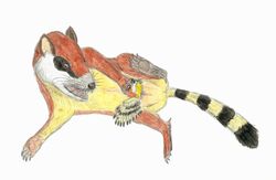  adoption avian bad_parenting bird cretaceous diegooa dinosaur discomfort enantiornithean enantiornithine eutriconodont extinct female feral gobiconodon humor mammal mother_(lore) pain parent_(lore) pouch_(disambiguation) prehistoric_species reptile scalie spurs stripes synapsid whiskers wings 