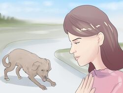  2014 4:3 absurd_res ambiguous_gender angry brown_body brown_fur canid canine canis domestic_dog duo female feral fur grass hi_res human mammal outside plant unknown_artist wikihow 