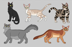  2021 :3 ambiguous_gender black_body black_fur brown_body brown_fur countershading digital_drawing_(artwork) digital_media_(artwork) digitigrade dipstick_tail domestic_cat dustpelt_(warriors) feet felid feline felis female_(lore) feral firestar_(warriors) flat_colors fluffy fluffy_tail fur graystripe_(warriors) green_eyes grey_background grey_body grey_fur group male_(lore) mammal markings orange_body orange_fur paws quadruped ravenpaw_(warriors) sandstorm_(warriors) simple_background sitting smile spageddy standing striped_body striped_fur stripes tabby_cat tail tail_markings tan_body tan_fur tuft warriors_(book_series) white_body white_fur white_markings white_tail_tip yellow_eyes young_(lore) 