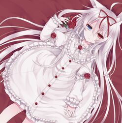  ahoge alice_claudia animal_ears bad_id bad_pixiv_id blue_eyes bow dress expressionless female flower hair_between_eyes hair_ornament hair_ribbon heterochromia jitome long_hair looking_at_viewer lying original red_eyes ribbon rose solo tsukikage_nemu very_long_hair white_hair 