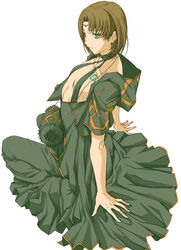  1boy bad_id bad_pixiv_id brown_hair crossdressing dress ei_(fran3bon) frown full_body gensou_suikoden gensou_suikoden_i green_dress green_eyes hood kneeling luc_(suikoden) male_focus otoko_no_ko poripuropiren solo true_rune white_background 