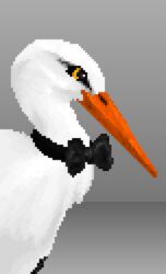  avian beak bird black_bow_tie bow_tie close-up digital_media_(artwork) feathers feral fluffy hi_res long_beak male orange_beak pixel_(artwork) portrait ravi_(artist) simple_background solo stork white_body white_feathers yellow_eyes 