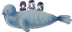  3girls animal black_hair blue_eyes blue_hair commentary_request dark_haired_kappa glasses glasses_kappa hair_tie_kappa hat kappa_mob_(touhou) long_hair manzairaku multiple_girls puffy_short_sleeves puffy_sleeves seal_(animal) short_hair short_sleeves smile touhou uranaishi_(miraura) 