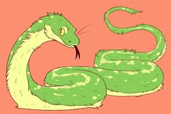  2016 ambiguous_gender avoid_posting feral fluffy fur furred_scalie furred_snake green_body green_fur henzolin multicolored_body multicolored_fur reptile scalie serpentine simple_background snake solo spots two_tone_body two_tone_fur yellow_eyes 