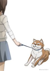  animal blue_skirt blurry blurry_foreground brown_hair canine casual collar commentary depth_of_field female girls_und_panzer leash long_sleeves miniskirt nishizumi_maho one-hour_drawing_challenge pet_walking resisting shiba_inu shiba_squish shibagami shirt simple_background skirt solo standing striped_clothes striped_shirt twitter_username white_background white_shirt 