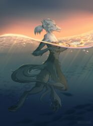  anthro canid canine detailed_background hair hi_res male mammal maocrowhard nude outside pawpads ponytail sea seascape sky solo sunset swimming unknown_species water wet white_hair 