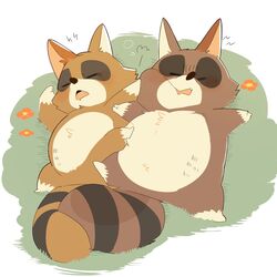  1:1 2018 anthro araiguma belly bono_bono duo hi_res hyaku_(artist) male mammal papa_araiguma_(bonobono) procyonid raccoon sleeping slightly_chubby 