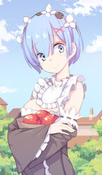  apple bag blue_eyes blue_hair blush closed_mouth commentary_request female food fruit hair_ornament highres holding holding_bag kook looking_at_viewer maid outdoors photoshop_(medium) re:zero_kara_hajimeru_isekai_seikatsu rem_(re:zero) roswaal_mansion_maid_uniform short_hair smile solo upper_body x_hair_ornament 