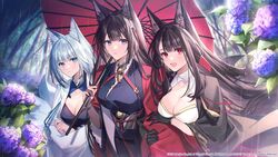  3girls akagi_(azur_lane) amagi_(azur_lane) animal_ear_fluff animal_ears azur_lane black_gloves black_kimono blue_eyes bracelet breasts brown_hair cleavage closed_mouth commentary_request coyucom flower fox_ears fox_tail frown gloves grey_hair highres hyacinth japanese_clothes jewelry kaga_(azur_lane) kimono kitsune kyuubi large_breasts locked_arms long_hair looking_at_viewer medium_hair multiple_girls multiple_tails official_art oil-paper_umbrella open_mouth outdoors parted_lips rain red_eyes red_kimono sakuramon sidelocks smile standing tail thick_eyebrows umbrella upper_body very_long_hair white_kimono 